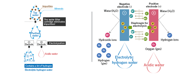 electrolysis process of water